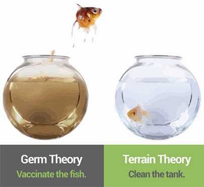 germ-theory-vs-terrain-theory.jpg